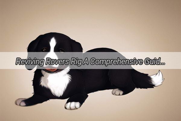 Reviving Rovers Rig A Comprehensive Guide to Healing a Dogs Torn Tendon